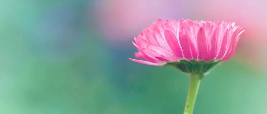 支架术后，两种抗血小板药物要吃多久？