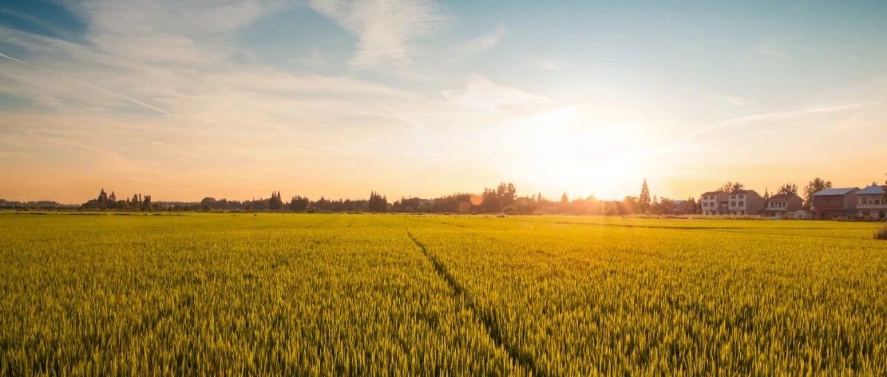 服用胺碘酮出现甲功异常，药该停吗？