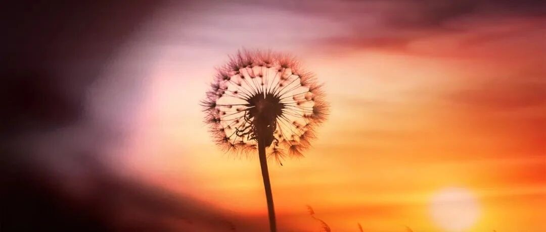 血压波动大？可能是应激在作祟