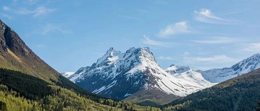 胸痛、休克、心电图“三角形改变”，冠脉正常出乎意料｜急诊“心”事