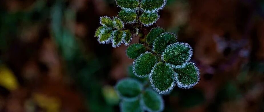 本来要做三腔起搏器，结果发现吃错了药