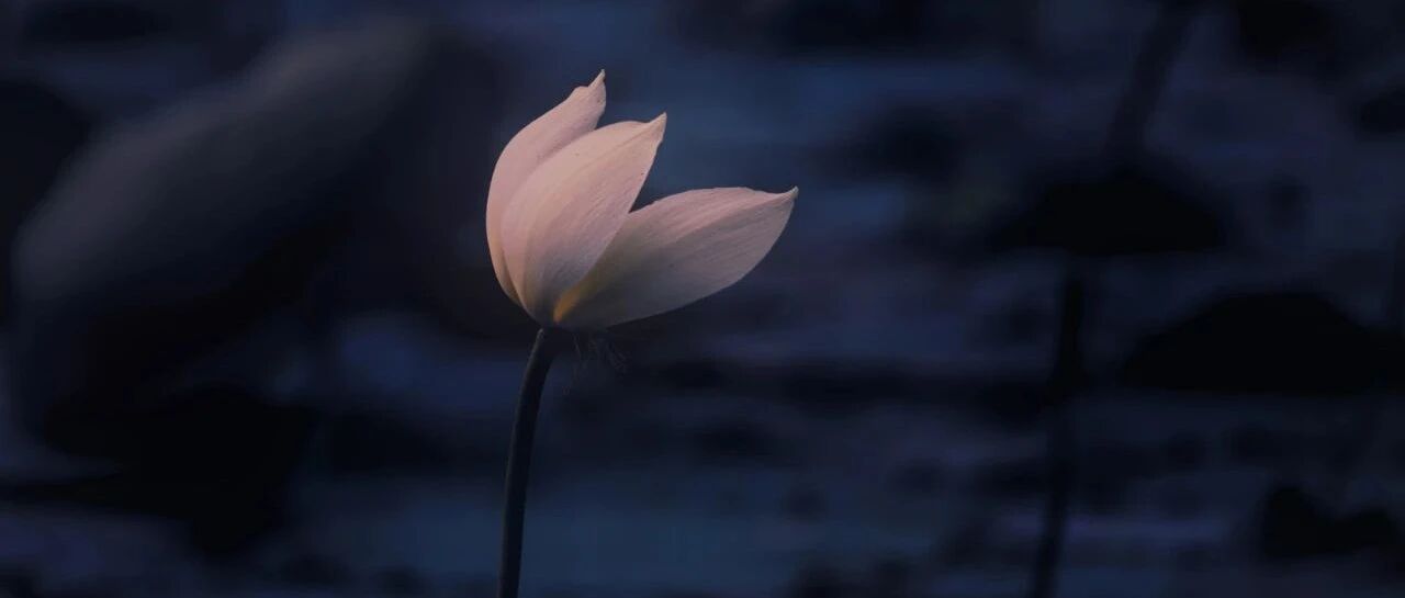 猛然站起来头晕眼发黑， 贫血还是低血压？