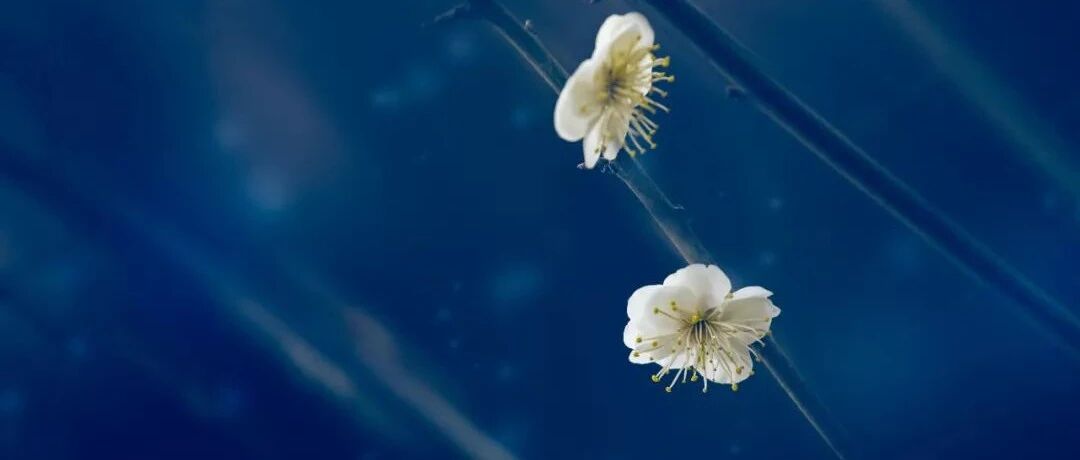 老年人降血压要谨慎保守一些？专家说出真相