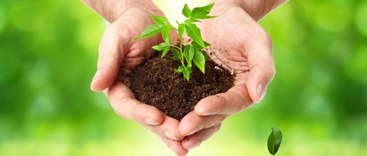 心梗后7天突发心源性休克，尸检明确原因｜急诊“心”事