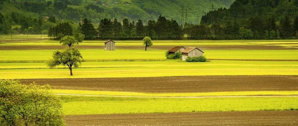 抗心律失常药物治疗房颤，你需要知道的真相