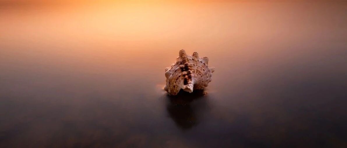 郭继鸿教授：心电学进展2020