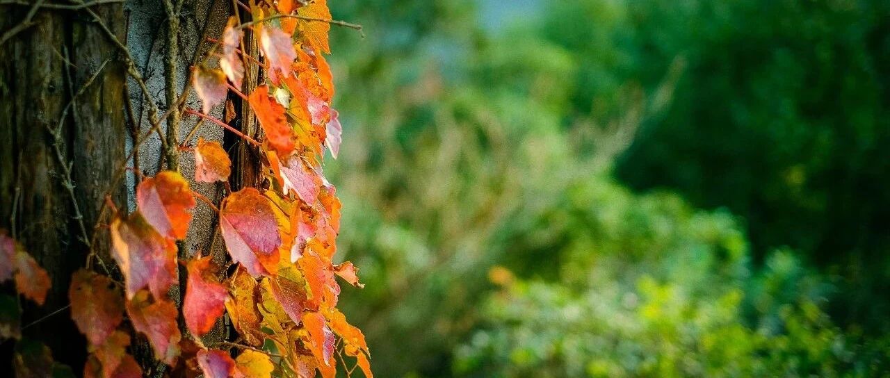 图文详解：心肌缺血和梗死的心电图