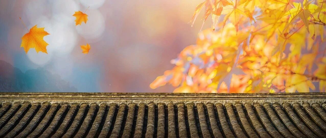 腺苷不能随便推，当心患者的小心脏「颤」给你看！