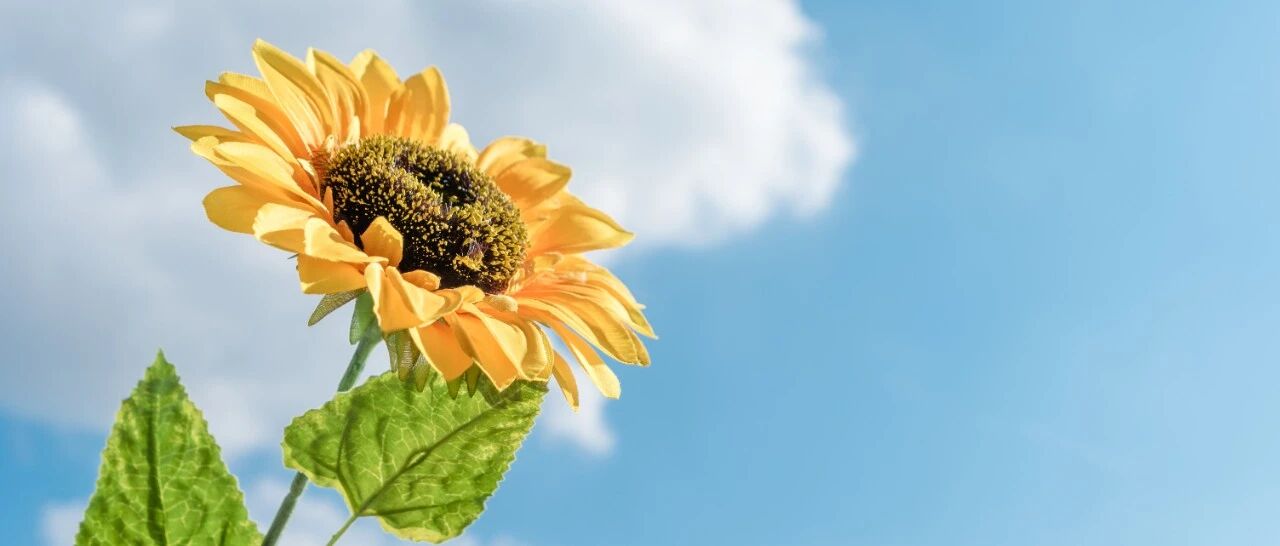 急性肺栓塞的评估、诊断及管理｜一文读懂