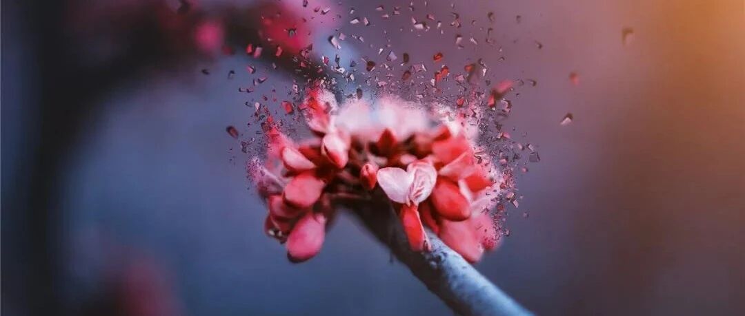 2021年度心血管进展：血脂异常