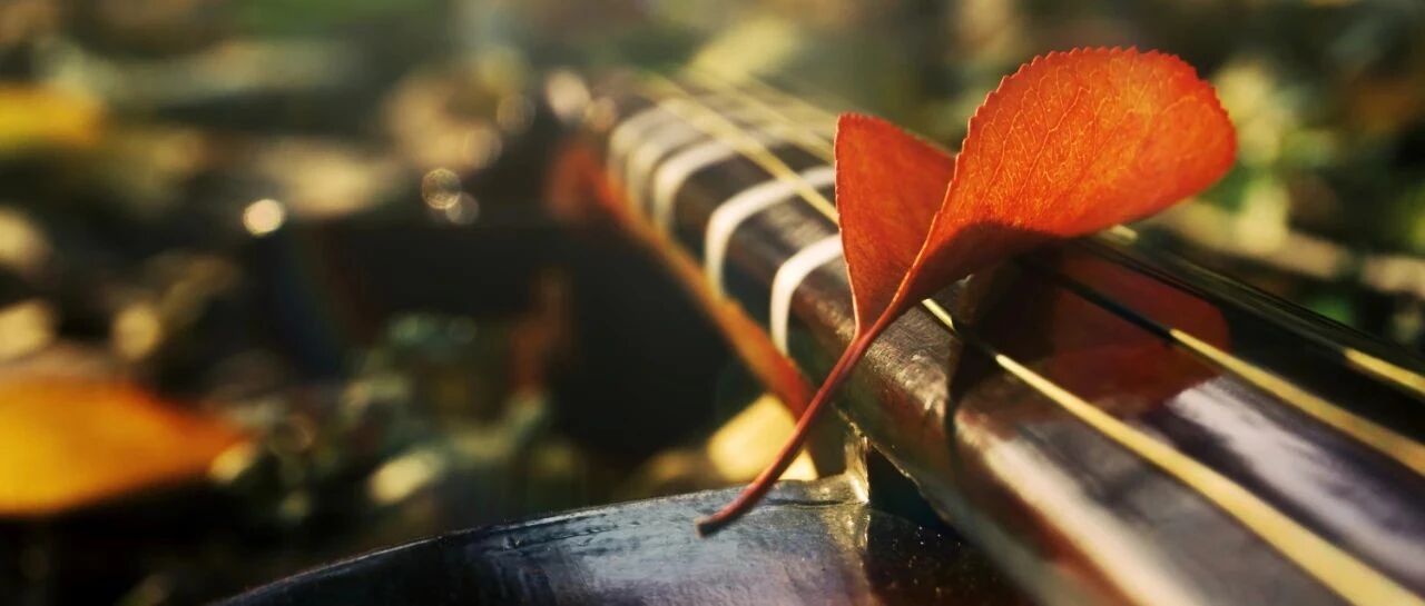 他汀副作用90%是假的！关于他汀不耐受的真相