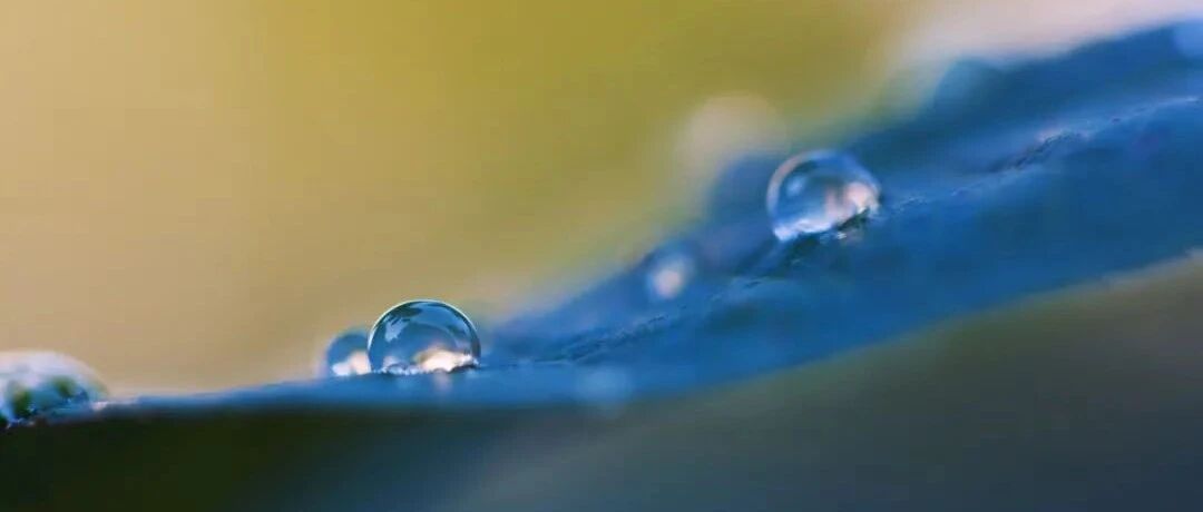 吃降脂药常有的6大疑问，答案在这！