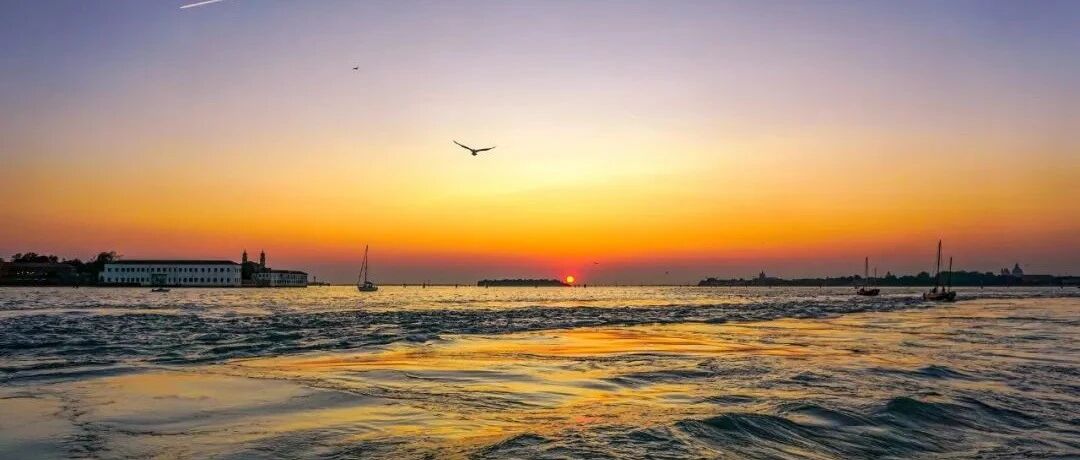 射血分数降低的心衰：图文详解药物治疗流程