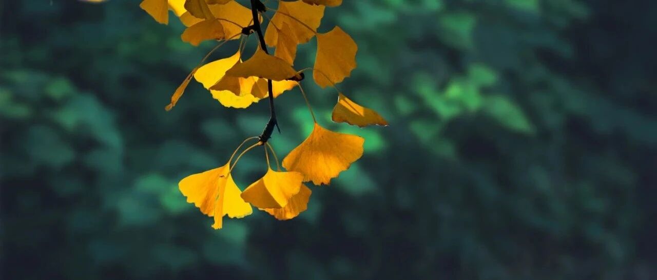 老年高血压的评估和治疗，看最新指南如何建议？