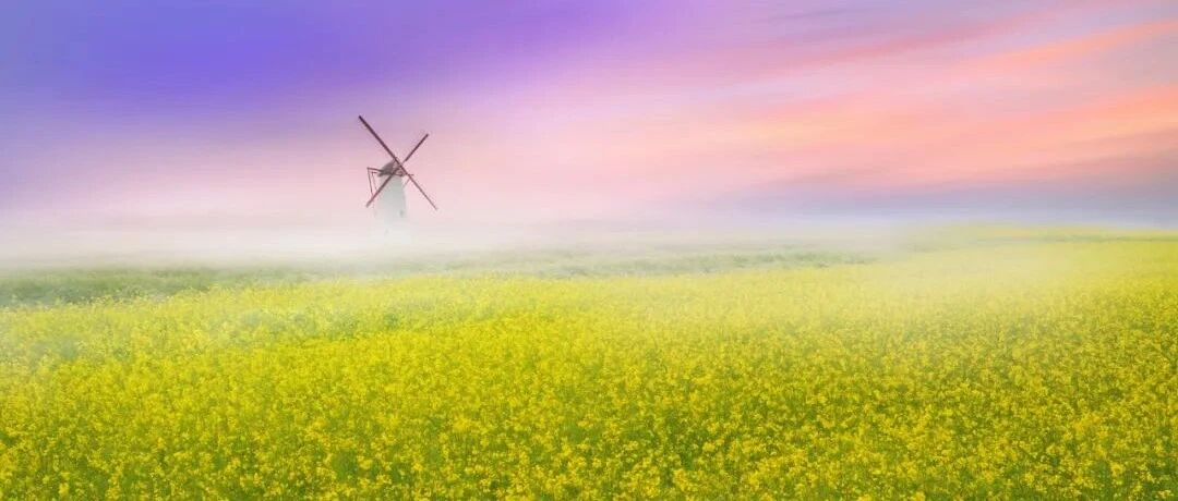 一图读懂丨急性冠状动脉综合征的诊治流程