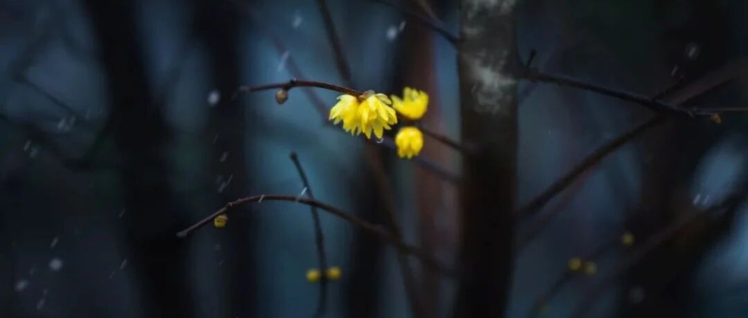 老年患者术后脑梗，溶栓后偏瘫索赔317万！鉴定人“灵魂十怼”暴露临床漏洞