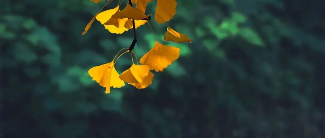 急救车上患者心跳骤停死亡，家属拿出诊疗规范逐条对照，索赔155万天价赔偿