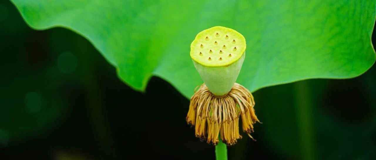 房颤复律，要不要抗凝？怎么抗？一文掌握