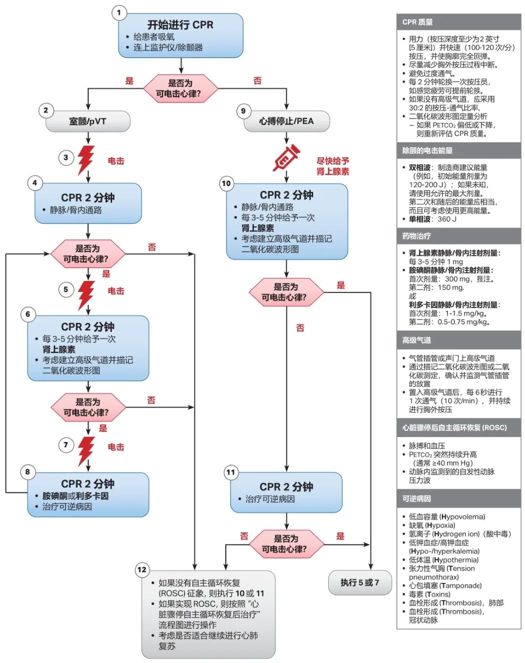 重磅 Aha心肺复苏和心血管急救指南更新 附下载链接 养生堂 日常养生保健大全 养生小知识 微信头条新闻公众号文章收集网