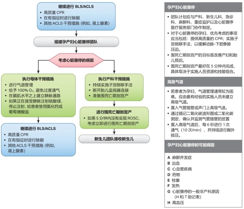 重磅 Aha心肺复苏和心血管急救指南更新 附下载链接 养生堂 日常养生保健大全 养生小知识 微信头条新闻公众号文章收集网