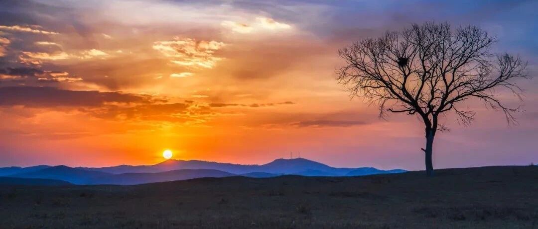 吃药10年查出尿毒症，46岁男子很后悔，吃降压药真的伤肾吗？