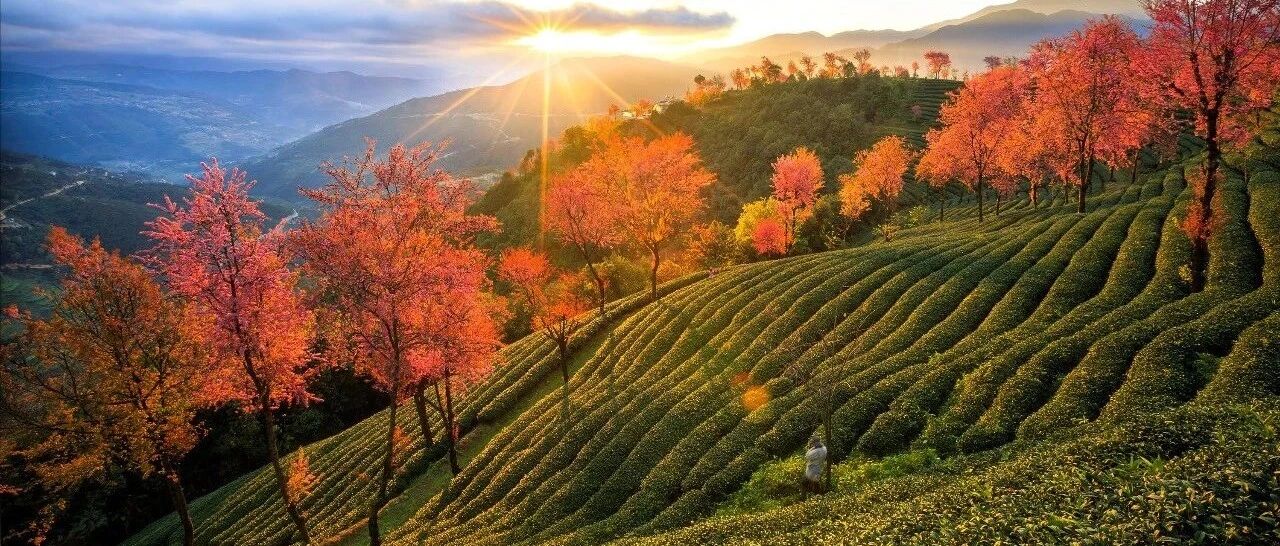 梗了？还是图错了？这是个问题！