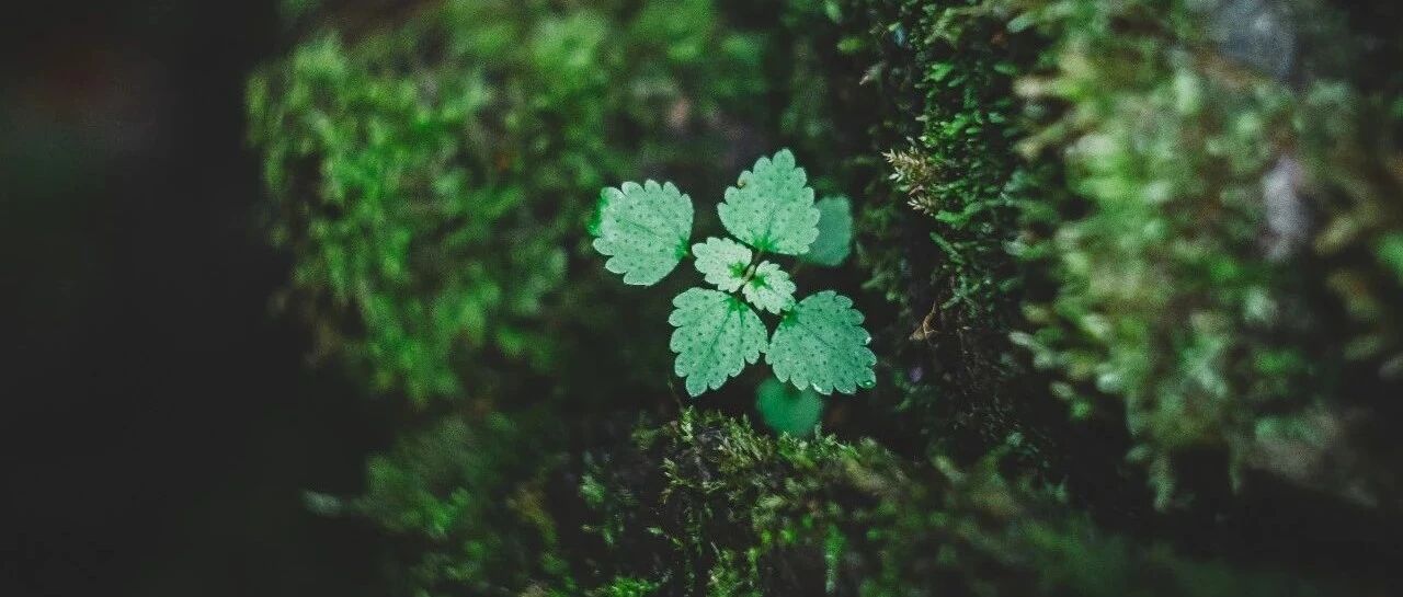 别再舌下含服硝苯地平，高血压亚急症这样处理！