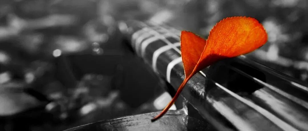 高龄老人术后心梗死亡，医院积极抢救为何被判赔偿？