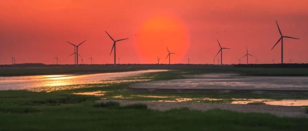 螺内酯的服用注意事项，超详细！