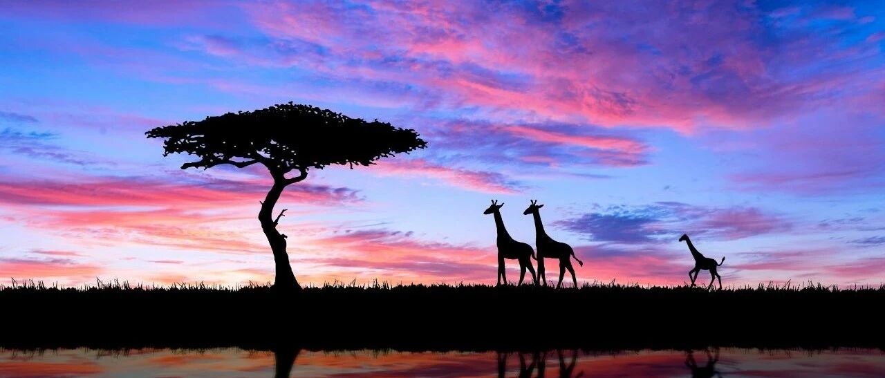 11部最新心血管指南和共识，一文收入囊中｜8月指南更新