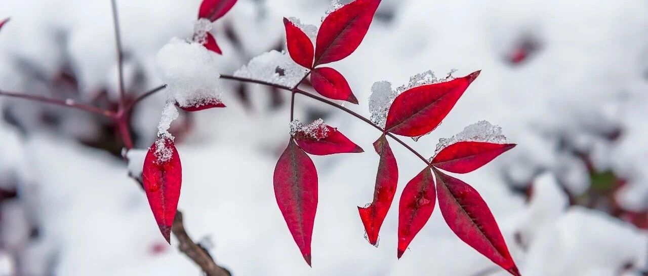 NT-proBNP用于心力衰竭诊断和评估，牢记几个数字