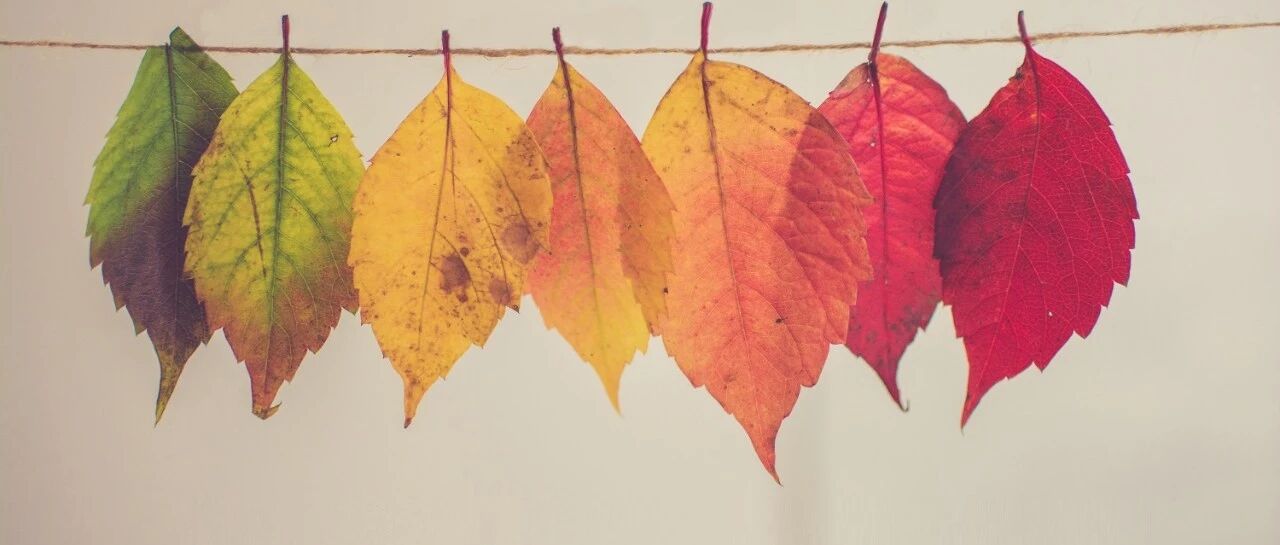 都是室上速，差别怎么就那么大呢？｜识“图”寻踪