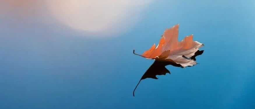 射血分数轻度降低的心衰（HFmrEF），如何用药？