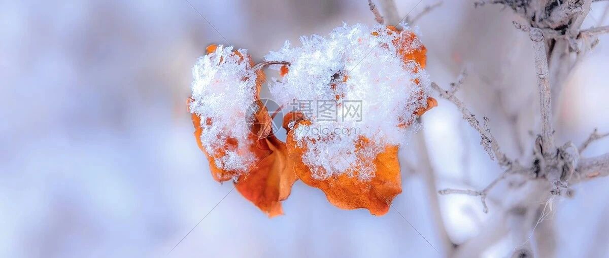 ST段压低、T波倒置，请不要忘记这种常见病因