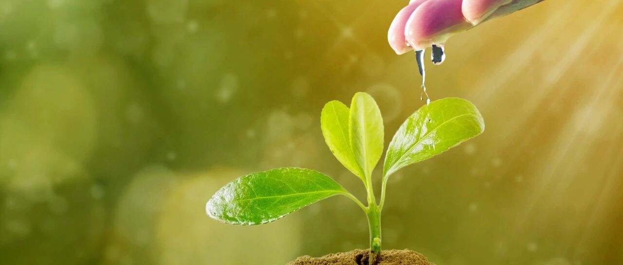 硝酸甘油、硝酸异山梨酯和单硝酸异山梨酯，哪家强？