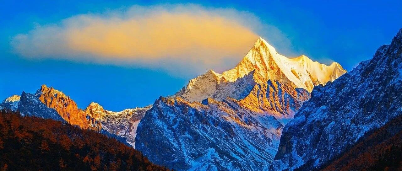 心衰优化治疗策略：识别高危人群，早治疗早获益｜HFA 2021