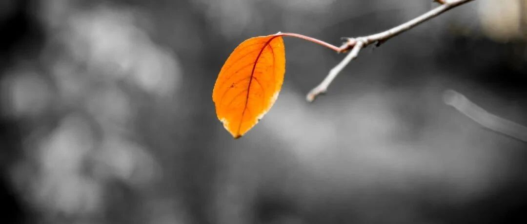 62岁男子，呼吸急促、血压高，值班医生以为心衰，主任怒了