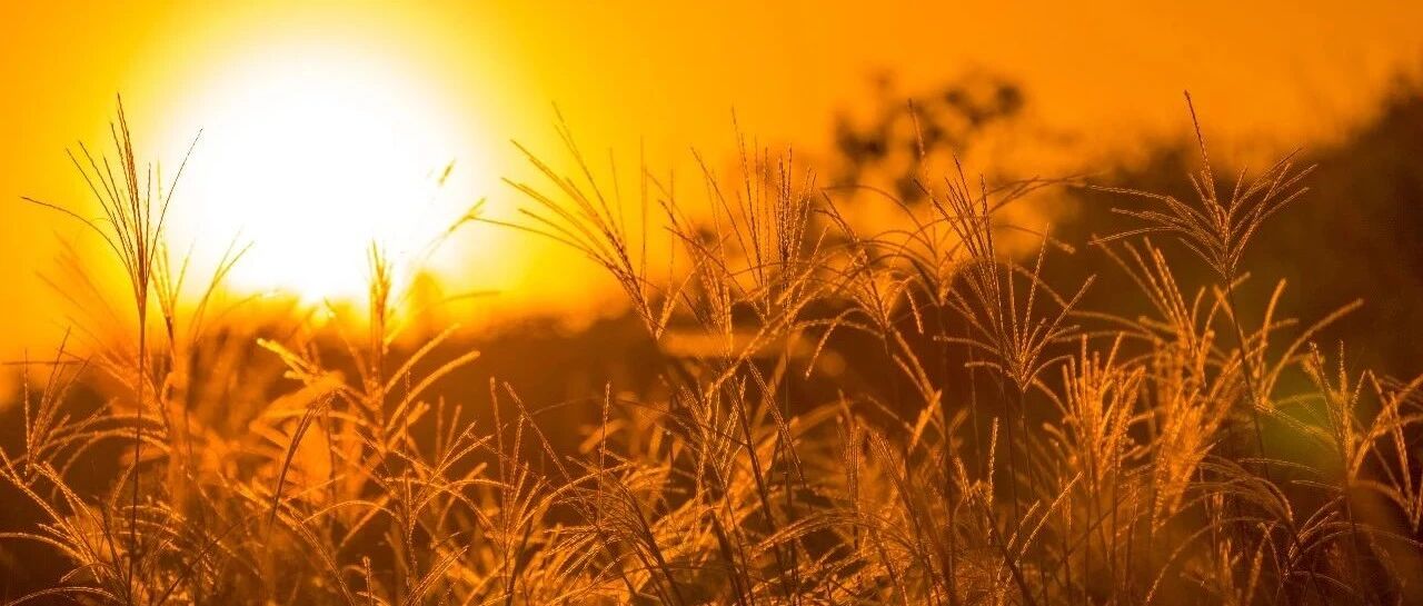 初识此病读高三，再闻已是“三高”人！医生：不能忽视的4点习惯