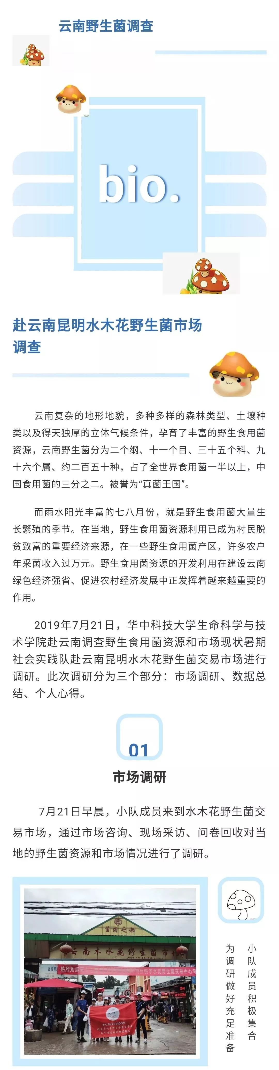 暑实第一谈 赴云南昆明水木花野生菌市场 东十一兔小生 微信公众号文章阅读 Wemp