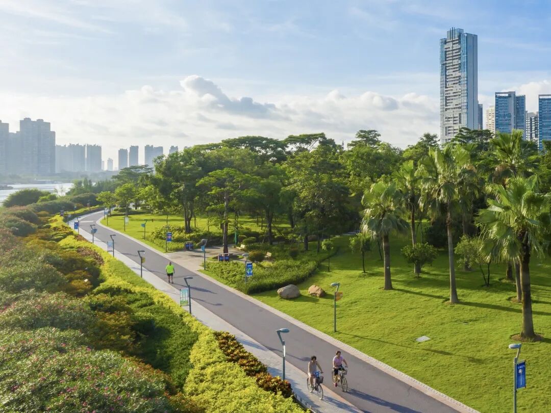 贯通运营!坐上"大号地铁"来佛山,就这么玩!