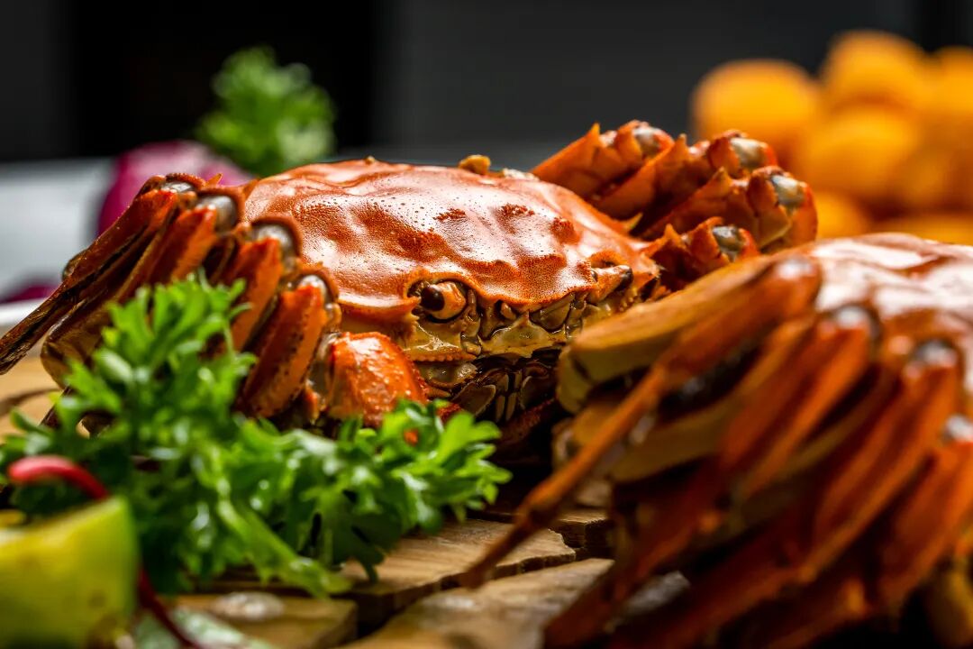 ������.XIN�ռ�.ܰ��ʳ��ְ��֮�ҵ�|269Ԫ�����������˲ͣ��ڽ�������죬����һ����ʳʢ��~�һ���Ϯ��