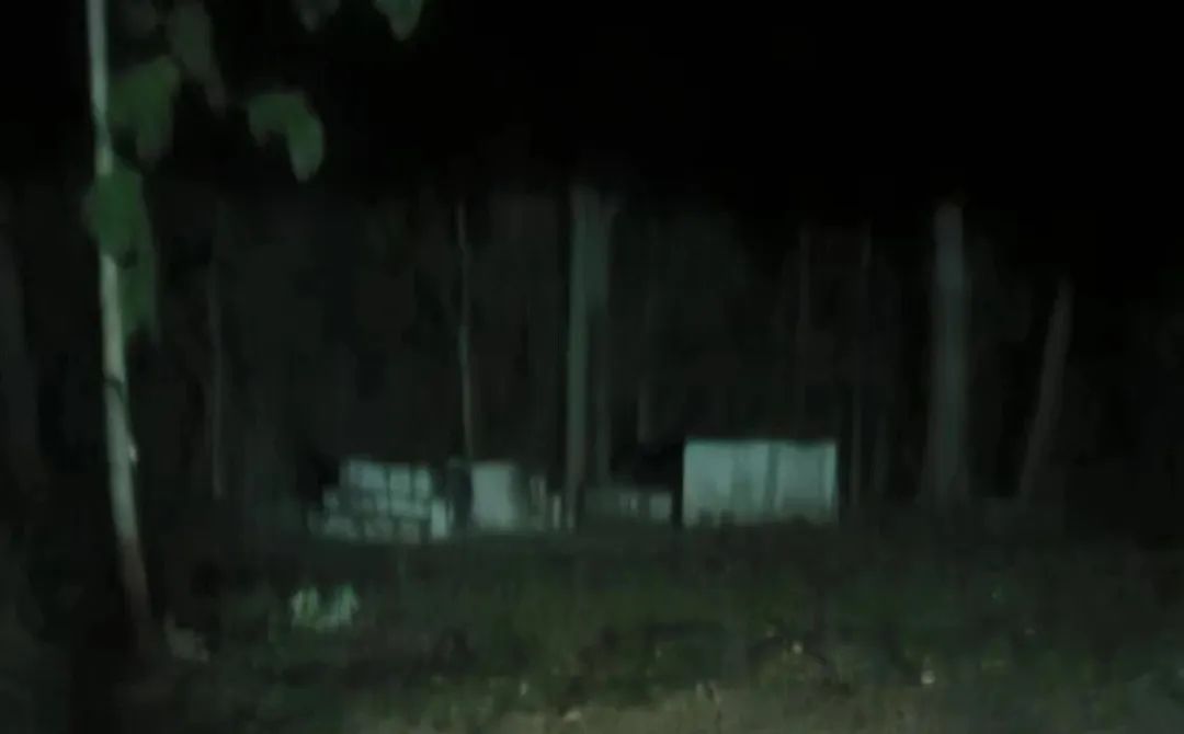 深入了解泰国佛牌，探秘情感奥秘