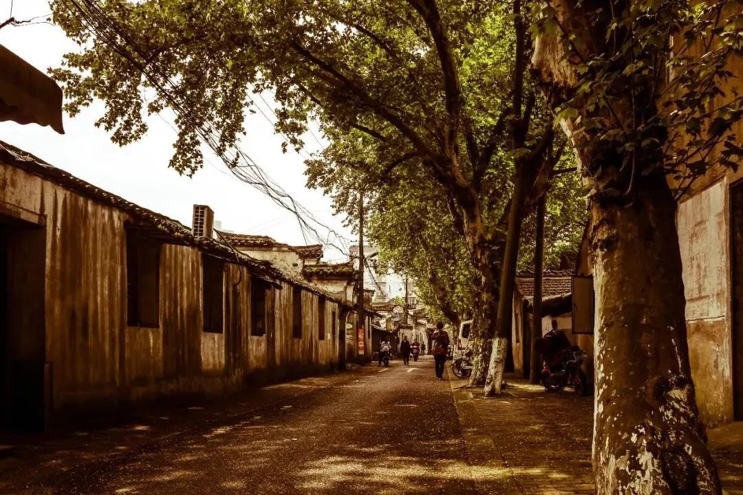 對不起，你不懂寧波的江湖 旅遊 第27張