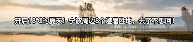 寧波及周邊暗藏的10家最美民宿都在這裡了！ins風、復古范、還可以躺在床上看星星！ 旅遊 第39張