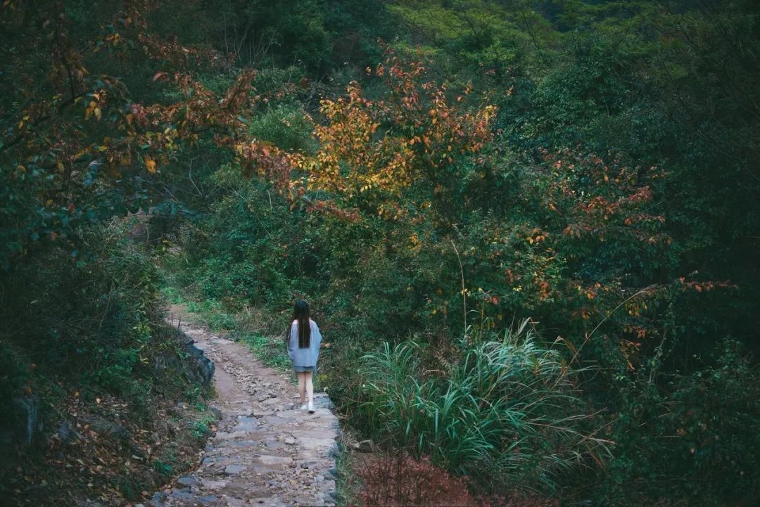 寧波，有1000種方式讓你愛上它~ 旅遊 第23張