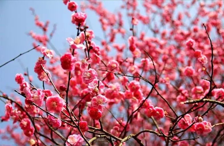 寧波周邊適合春節去的12個地方，90%的人都會錯過！ 未分類 第10張