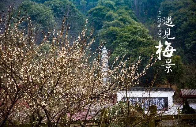寧波周邊適合春節去的12個地方，90%的人都會錯過！ 未分類 第4張