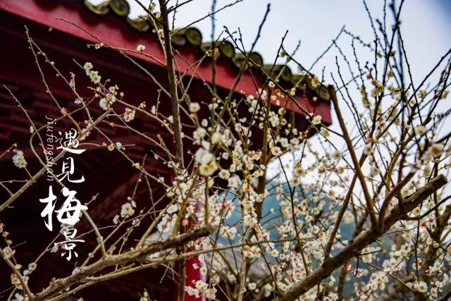 寧波周邊適合春節去的12個地方，90%的人都會錯過！ 未分類 第5張