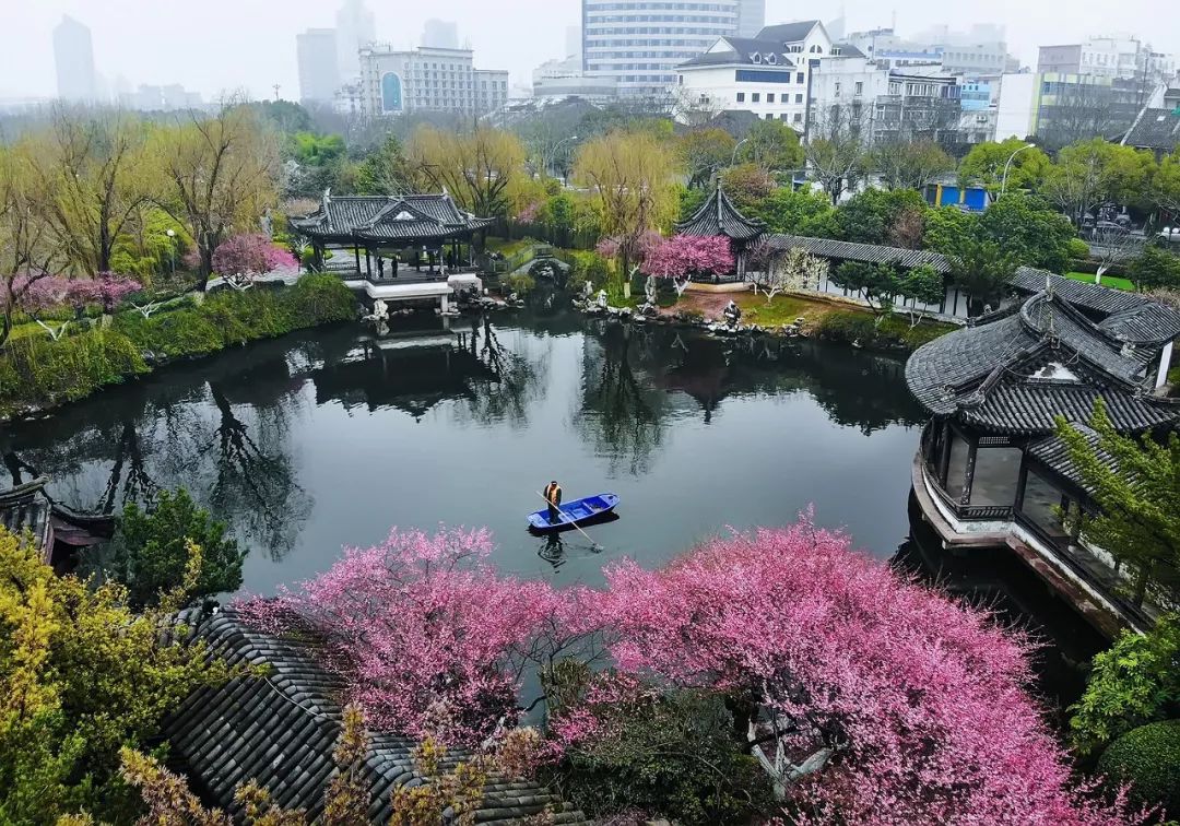 對不起，你不懂寧波的江湖 旅遊 第17張