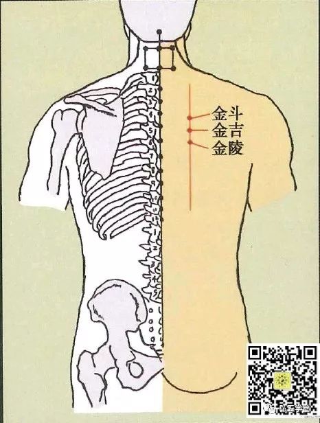 董氏奇穴精要 第十二章背部穴位 三金穴 宏五学堂 微信公众号文章阅读 Wemp